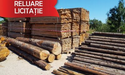 Material Lemnos: Lot 2 - 43,13 m3 cherestea esență rașinoasă, specia molid constituit din 3.299 bucăți de scândură de 3 ml lungime